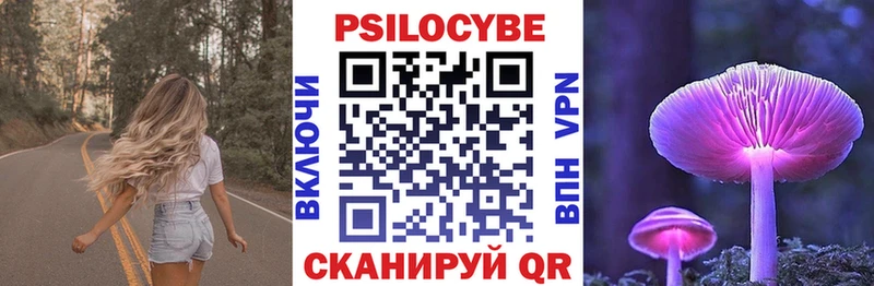Галлюциногенные грибы Cubensis  ОМГ ОМГ ССЫЛКА  Новошахтинск 